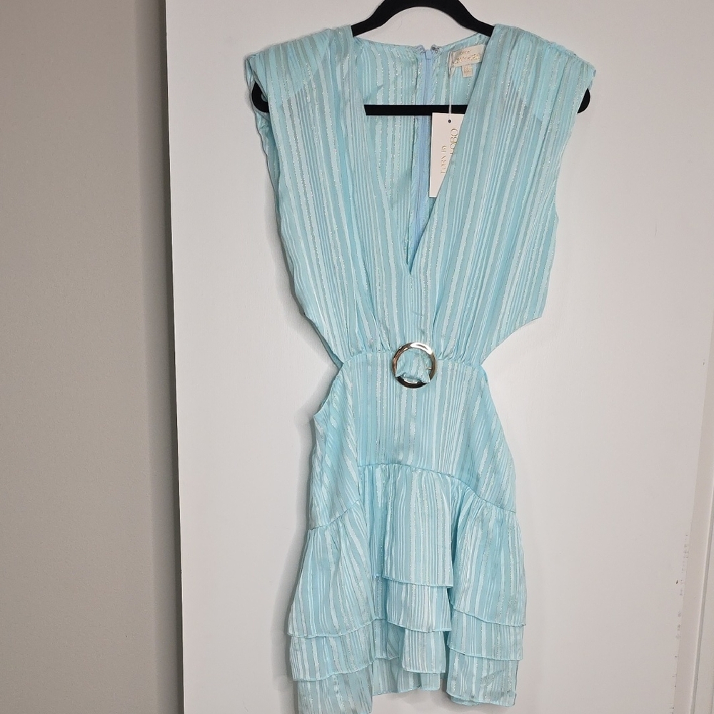 Torn by Ronny Kobo CASSIE SLEEVELESS DRESS - Picture 2 of 9
